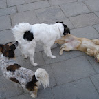 DSC01059.JPG