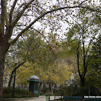 P1020153.JPG