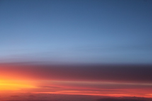 IMG_4518 IMG_4518