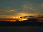 ss06_02.jpg ss06_02.jpg