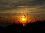 ss08_02.jpg