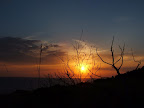 ss09_06.jpg