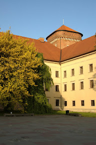 DSC_7896.JPG