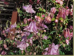 PB130169