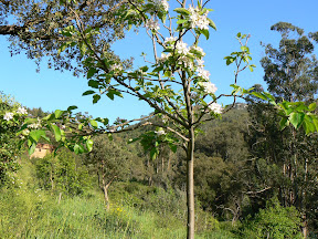 P1050582.JPG