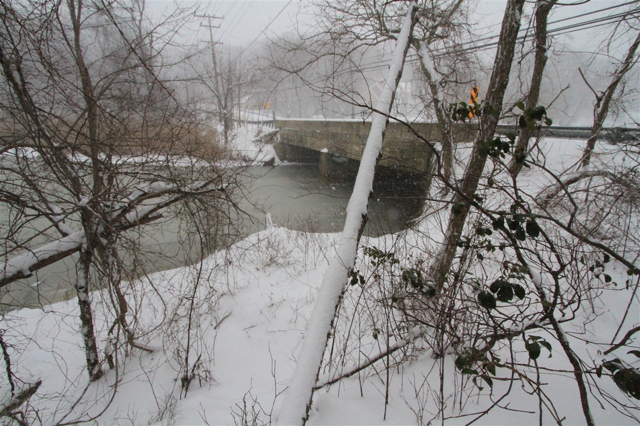 [IMG_19592.jpg]
