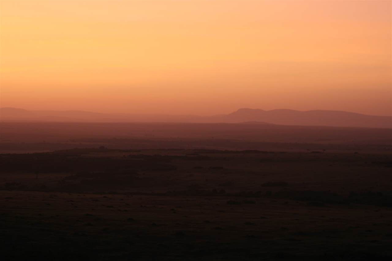 [IMG_56663.jpg]