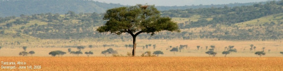 [TanzaniaHeadeWithText[2].jpg]