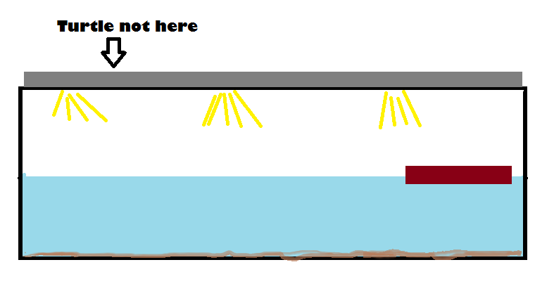 [image[6].png]