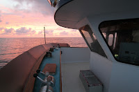 IMG_40902 Photo