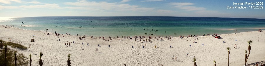 [Nov6-IMFLTrainingSwimWithText[2].jpg]