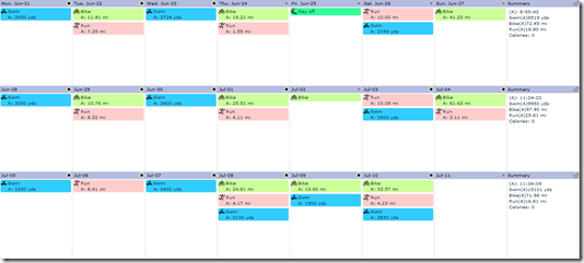 Training Peaks Calendar