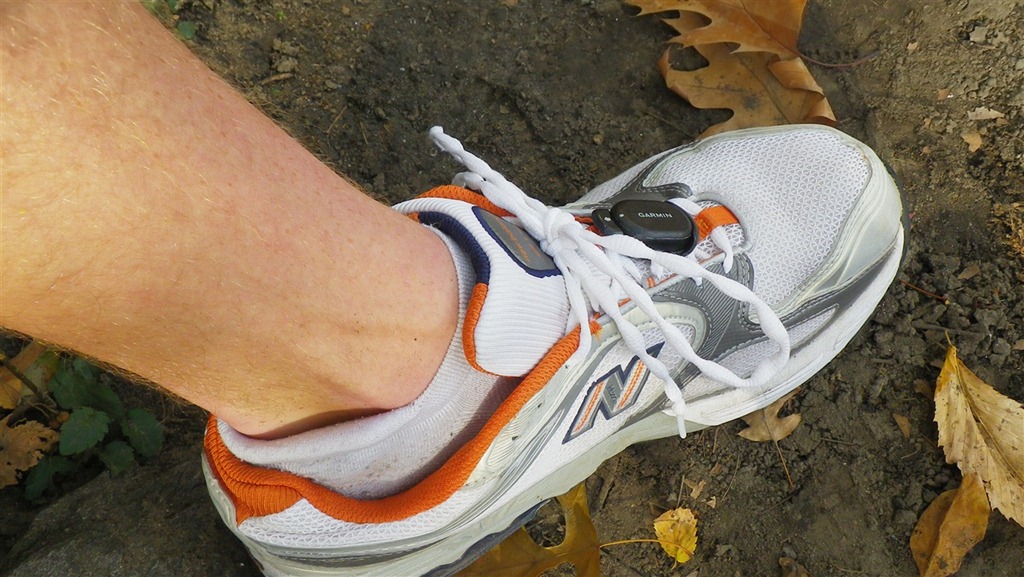 [IMGP3675[7].jpg]