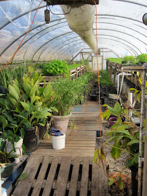 Hoop House