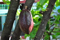 DSC_0033.JPG