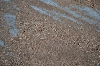 DSC_0082.JPG