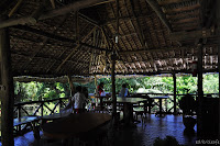 DSC_0876.JPG