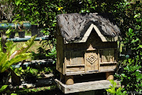DSC_0934.JPG