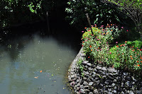 DSC_0881.JPG