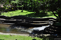 DSC_0944.JPG