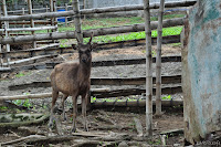 DSC_0246.JPG