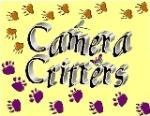 [CameraCritters1[2].jpg]