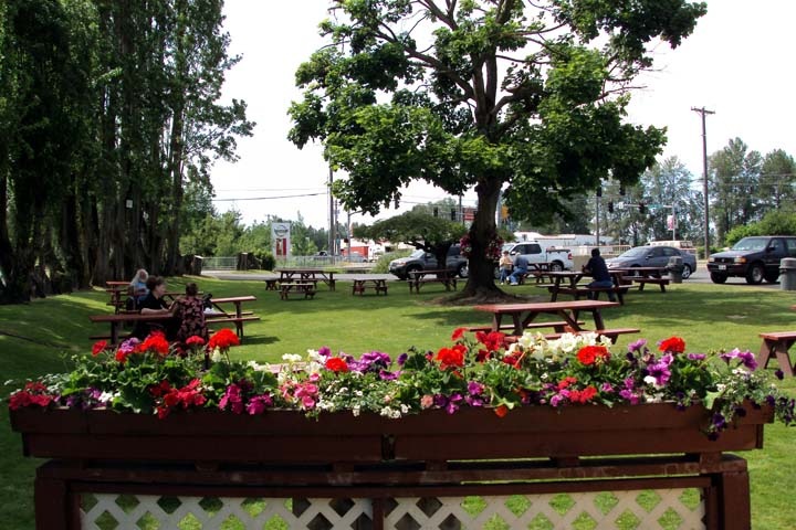[Copy of 20090601_5[3].jpg]