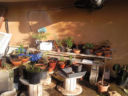 Mis Rincones Rincon%20sombra