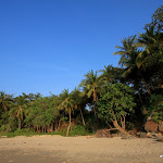 IMG_3814.JPG