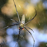 IMG_3574.JPG
