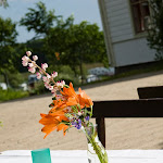 IMG_0284.jpg