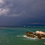 IMG_1187.jpg
