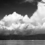 IMG_1063.jpg