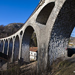 IMG_3447.jpg