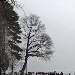 IMG_3360.jpg