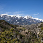 IMG_3169.jpg