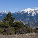 IMG_3183.jpg