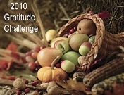 [2010GratitudeChallengeButton[3].jpg]