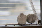 img_1016.jpg