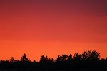 IMG_1086.JPG