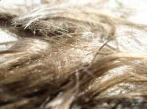 How To donate a hair