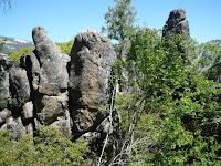 P1020884.JPG