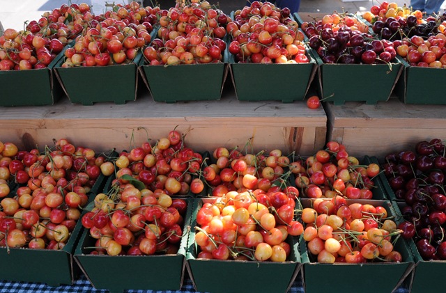 [Cherries[4].jpg]