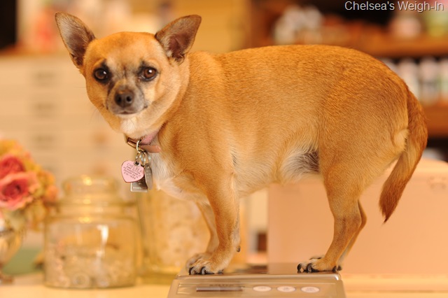 [DSC_2692_2157[8].jpg]