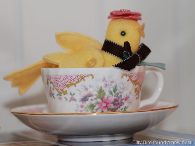 [Bitty Bird [8].jpg]
