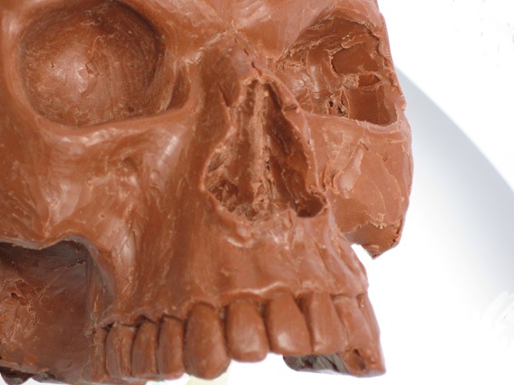 [skull11[4].jpg]