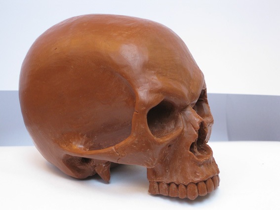 [skull04[3].jpg]