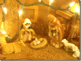 nativity picture