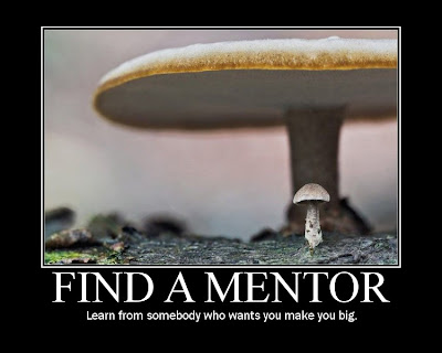 Find a Mentor