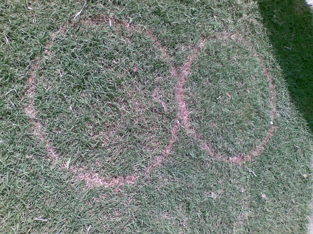 [Image(746)[2].jpg]